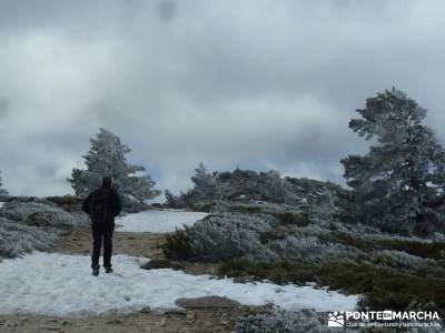 Siete Picos - Parque Nacional Cumbres del Guadarrama;foro senderismo charca verde pedriza